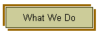 What We Do